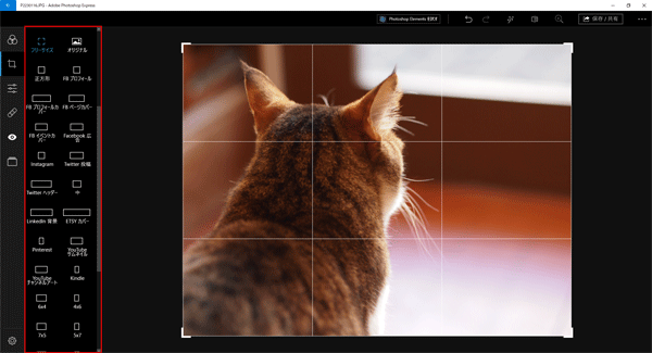 スクロールすると、SNSや大きさ毎に切り取りできるメニューも選択できます。
